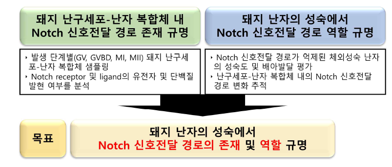 연구과제의 수행 과정 및 수행 내용의 요약