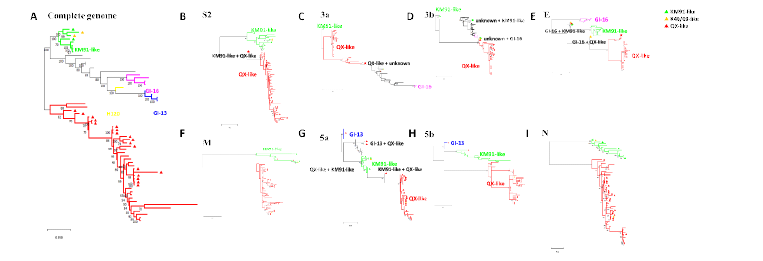 각 유전체별 phylogenetic tree 분석 결과