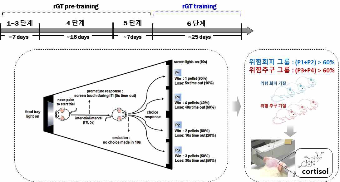 도박성게임 동물모델(rGT)을 이용하여 충동적 의사결정에 관한 행동지표들로 그룹을 분리하고, 각 훈련 단계별 뇌척수액을 채취