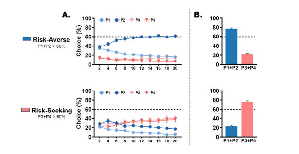 20일 동안 도박성 게임 실시한 후 마지막 3일 평균값으로 그룹을 분리함. A. 20일간 위험 회피 (risk-averse) 그룹과 위험 추구 (risk-seeking) 그룹의 20일간 선택 선호도를 나타낸 시계열 그래 프 B. 각 그룹의 마지막 3일 선택선호도 평균값을 나타낸 막대 그래프