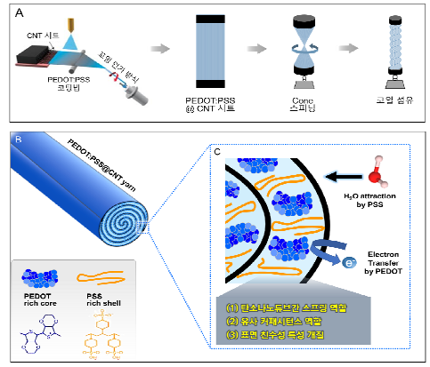 실험방법 모식도 (A) 제안하는 코일형 복합체 섬유의 제조 공정 모식도. 탄소나노튜브 시트에 게스트 물질인 PEDOT:PSS를 스프레이 방법으로 균일하게 코팅한 후 이를 cone 스피닝 방법으로 꼬아 최종적으로 코일형 복합체 섬유를 제작 함. (B) 완성된 최종 코일 섬유의 단면 모식도로써 PEDOT:PSS가 탄소나노튜브 섬유 내부에 균일 하게 스크롤 구조로 침투되어 있는 형태 보여줌. (C) 침투된 PEDOT:PSS 게스트 물질의 역할을 나타낸 모식도로써, (i) 나노튜브 사이의 스프링 역할, (ii) 슈퍼커패시터 관점에서 용량 증대를 위한 유사 커패시터 물질 역할, (iii) 물 기반 인 공근육의 효율적 부피 팽창 및 회전구동 성능 향상을 위한 친수성 표면 개질 역할 등 다기능 을 수행하는 메커니즘을 제안함.