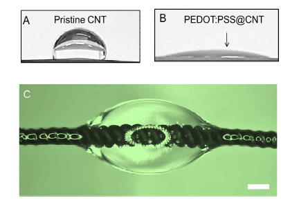 PEDOT:PSS/CNT 섬유 형태 관측 (a) 순수한 CNT 코일 섬유 표면에서 측정한 물 방울의 접촉각 및 (b) PEDOT:PSS/CNT 코일 섬유 표면에서 측정한 물방울의 접촉각을 촬영 하여 나타낸 광학 이미지. (c) PEDOT:PSS/CNT 코일 섬유에 물방울을 함침시킨 사진. 일반적인 CNT 섬유에서는 관측 하기 힘든 물방울이 맺힌 이미지가 관측되었으 며 이는 자연계에 존재하는 거미줄과 유사한 정 도의 친수성을 보유하고 있는 것으로 생각됨.