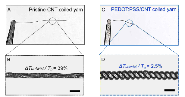 PEDOT:PSS/CNT 섬유의 회전 안정성 특성 측정 및 비교 결과 (a) 순수한 CNT 코일 섬유의 경우 한쪽 끝이 자유롭게 변형가능하다면 인가되었던 꼬임이 풀리면서 코일구조가 붕괴됨. (b) 이를 확대한 이미지로 최초에 인가되어 있던 꼬임이 풀리 면서 코일 구조가 붕괴되는 모습으로 대략 61% 꼬임이 유지되는 것을 관측함. (c) 반면 PEDOT:PSS/CNT 코일 섬유의 한쪽 끝이 자유로운 변형 상태에 노출되더라도 (d) 코일 구조를 적절하게 유지하고 있는 모습이며 최초 인가된 꼬임의 97.5% 유지됨을 확인함.