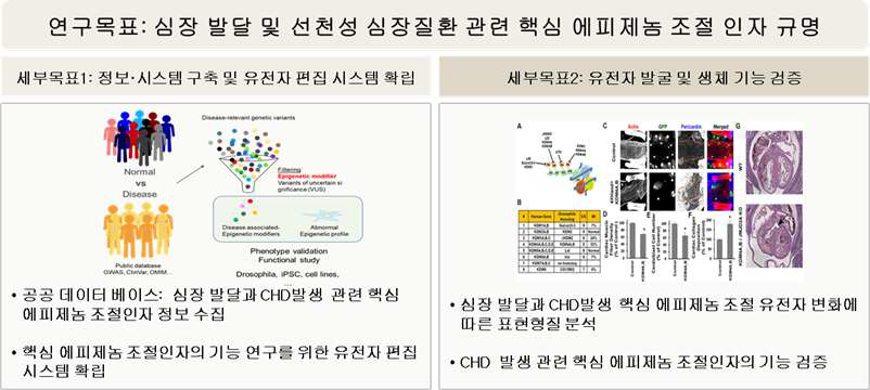 선천성 심장질환 핵심 에피제놈 조절인자 규명 연구에 대한 개요