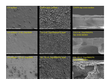 SEM images of CA support surface, CA support surface with Dopamine/SMX interlayer and thin film composite FO membranes with PA layer on top of CA support with different dopamine/SMX interlayer.