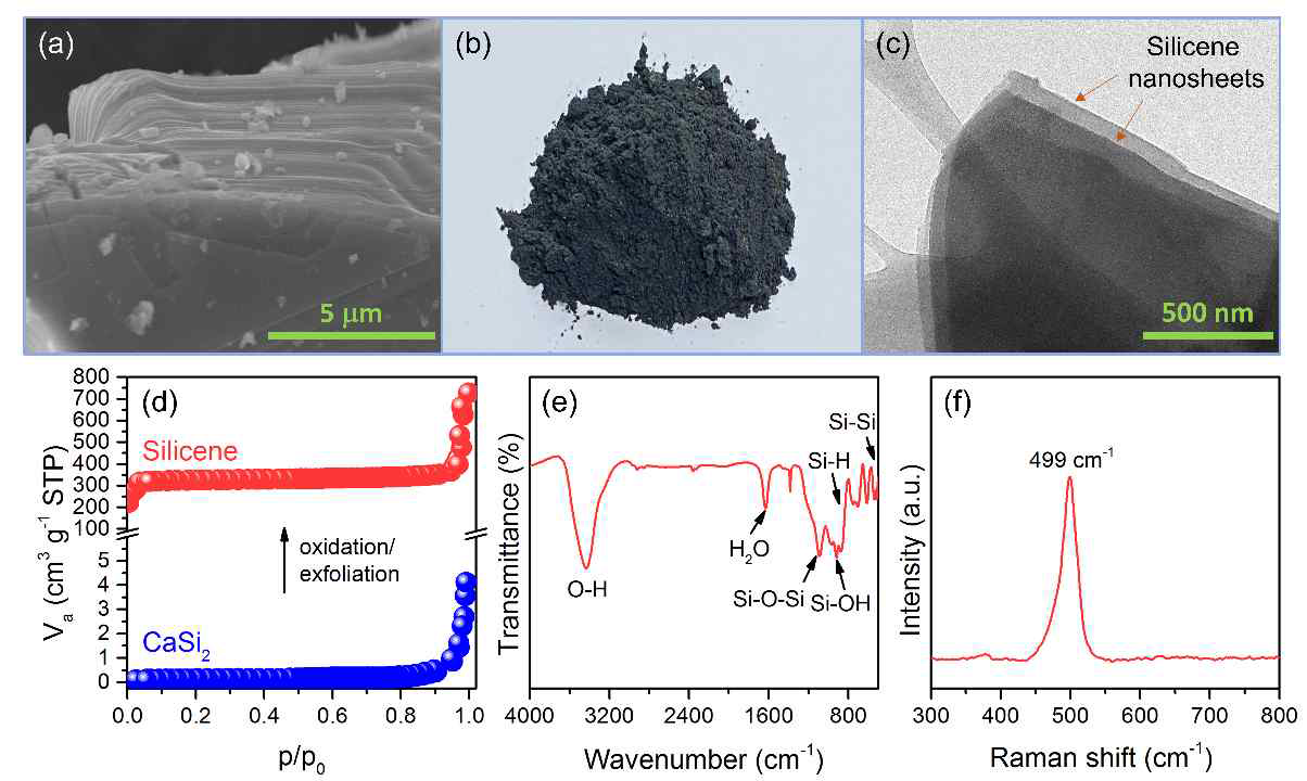 Characterization of support filler: (a) FE-SEM image of CaSi2; (b) optical image and (c) TEM image of synthesized silicene nanosheets; (d) N2 adsorption-desorption isotherms of CaSi2 and silicene; (e) FTIR and (f) Raman spectra of silicene.