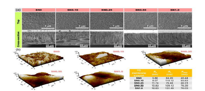 Morphology of PSf SN with different silicene loadings as FO membrane support: (a) top and cross-section SEM images; (b) contour maps and roughness values via AFM.