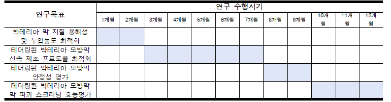 시기별 연구 추진체계