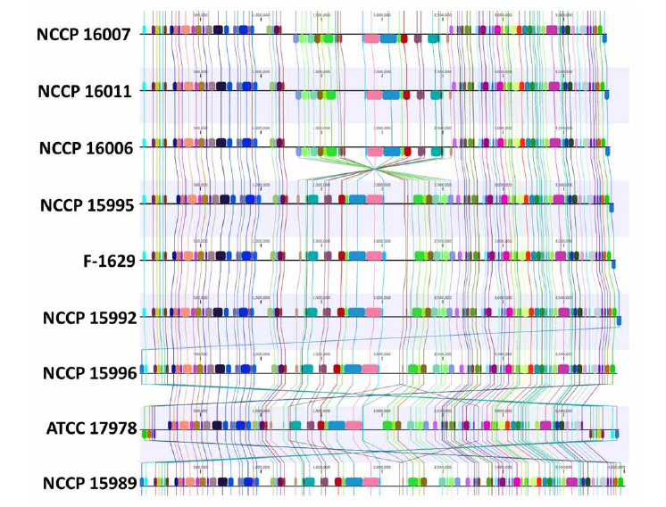 임상 균주 A. baumannii의 whole genome sequence alignment