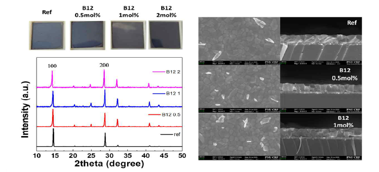 B12 첨가제를 적용한 페로브스카이트 박막 모폴로지 분석결과 (XRD 및 SEM)