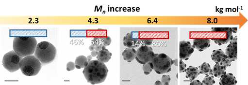 PS 리간드의 분자량 (2.3k ~ 8k) 에 따른 supraparticle 의 모양 변화