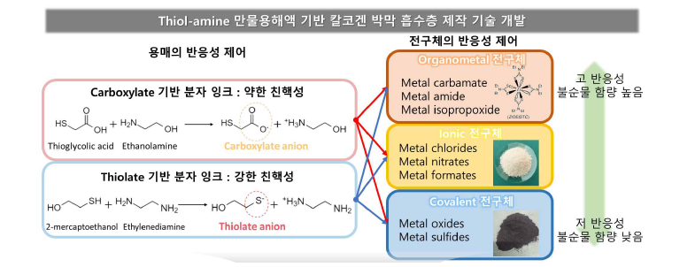 본 과제에서 연구된 Thiol-amine 기반 균질 용액 제조 과정의 도식