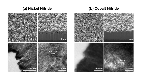 (a) 니켈 질화물과 (b) 코발트 질화물의 전자현미경 사진