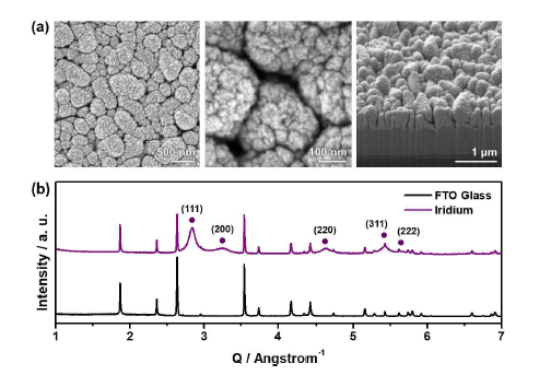증착된 이리듐 전극의 (a) 전자현미경 사진 및 (b) 엑스선회절패턴.