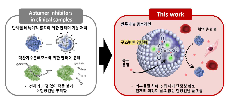 분자인식물질이 탑재된 크기 배제 반투막을 통한 시료 전처리 없는 신속·정확한 현장 진단.