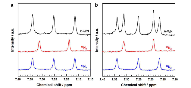 질소 동위원소 표지 실험을 통한 C-WN 및 A-WN의 NRR 메커니즘 규명