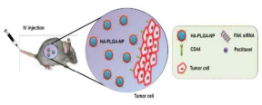 Hyaluronic acid-labeled PLGA nanoparticle system for anticancer drug and siRNA delivery