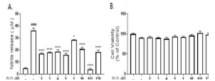 Rat astrocytes에서 LPS로 유도된 염증모델에서 NO 증가에 대한 효능검색