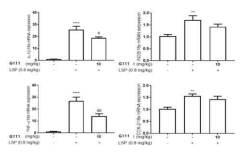 LPS로 유도된 염증성 우울증 동물모델에서 KUMRC-G111에 의한 염증성 사이토카인 유전자 발현변화에 대한 효능검색