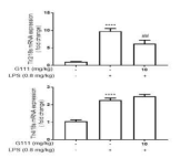 LPS로 유도된 염증성 우울증 동물모델에서 glia 활성에 대한 KUMRC-G111의 효과