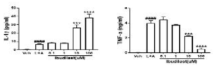 LPS와 ATP처리에 의한 inflammasome 활성화에 따른 IL-1β, TNF-α ELISA 결과