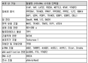 총 연구 기간 동안 새로 발굴된 O-GlcNAc 수식화 단백질