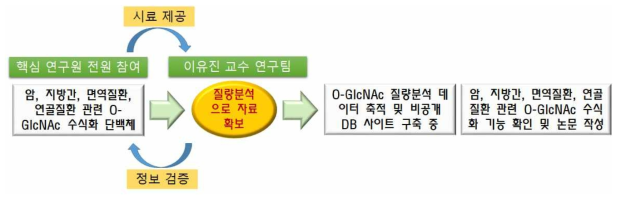 공동연구 추진 체계]