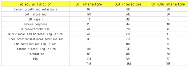 O-GlcNAc transferase와 O-GlcNAcase에 interact하는 단백질]