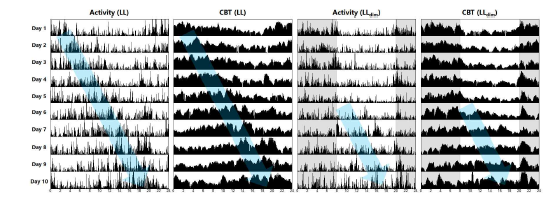 (좌) LL / (우) LLdim 조건에서 10일 동안의 activity 및 CBT data