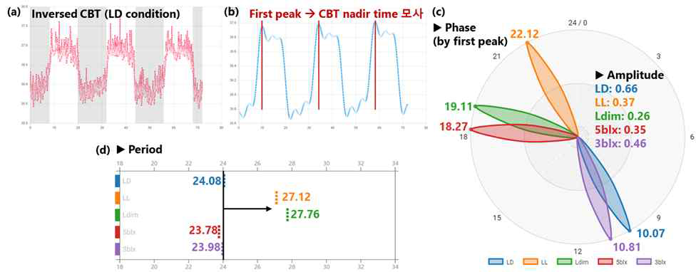 (a) LD조건에서의 72시간동안의 inversed CBT data, (b) CBT nadir time을 분석하기 위해 MFourFit method를 통해 fitting된 inversed CBT data. (c) 각각의 광 시나리오에 따른 CBT nadir time 변화를 모사하는 first peak time의 phase data와 CBT의 amplitude data, (d) CBT의 period data