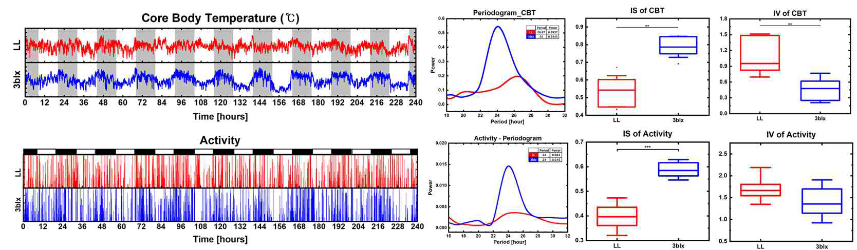 일주기리듬 개선 실험에서 rat CBT/activity 생체신호 분석 결과