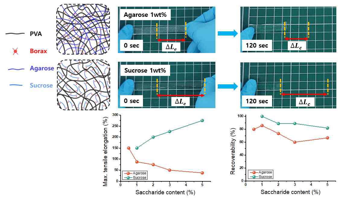 PVA-borax-agarose와 PVA-borax-sucrose 하이드로젤의 인장신율 및 회복력