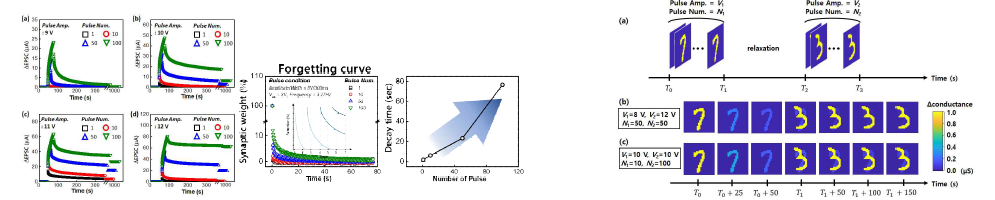 (좌) FG IGZO의 Memory Characteristic at Pulse Amplitude=(a) 9V, (b) 10V, (c) 11V, (d) 12V. (우) FG IGZO 시냅스 트랜지스터에서 STM와 LTM을 시연하기 위해 25 X 25 어레이로 이미지 기억 응용 프로그램을 Simulation한 결과