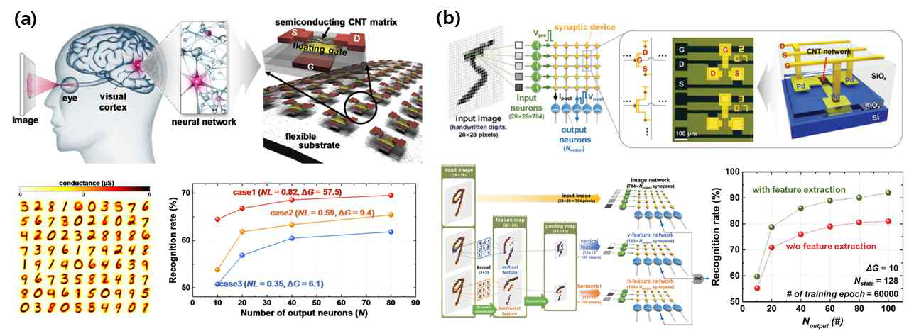 (a) Flexible 기판 위 CNT 시냅스 소자 제작 후 80개의 입력에 대한 패턴 인식 시뮬레이션 결과 (b) 입력 및 출력층으로 구성된 28 × 28 grayscale 이미지의 패턴 인식을 위한 시냅스 CNT transistor 및 개략도