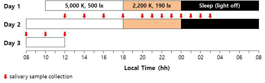 시간에 따른 조명 환경 및 타액 수집 시점
