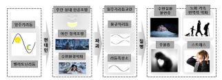 광오염 (빛공해) 및 일주기리듬 교란과 그 영향