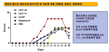 염증성 말초신경병증 동물모델에서 치료선도 물질 후보군의 임상증상 치유효과