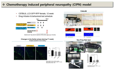 CIPN (항암제유도성 말초신경병증) 모델링과 연구