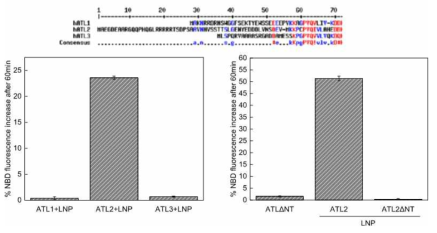 리포좀 막융합에서의 ATL2 N말단의 역할 분석