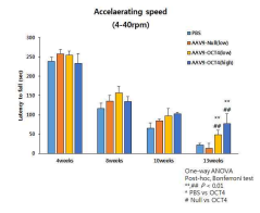 OCT4 농도별 단독 치료 후 행동학적 검사 결과 (Rotarod)