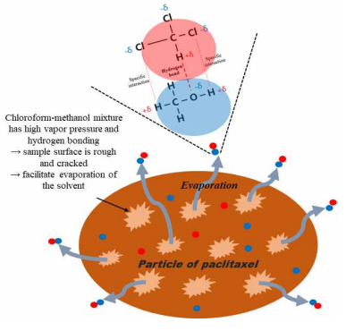 A schematic diagram of the removal mechanism of residual solvents from a sample pre-treated with methanol