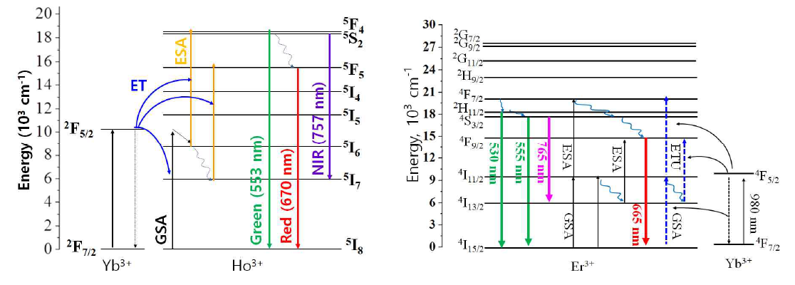 Energy level diagram of Ho3+-Yb3+ and Er3+-Ho3+ couples