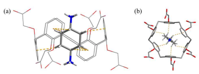 cyclohexanediammonium 이온을 포획하고 있는 CHA6-의 결정 구조: (a) side-view와 (b) top-view