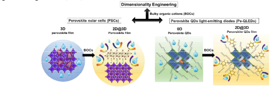 Schematic figure depicting the effect of bulky organic cations on the dimensionality, performance and stability of PSCs and PeQLEDs