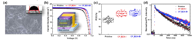 (a) Morphology of CF3BZA-Br passivated perovskite films. (b) J-V characteristic curves and schematic device architecture (inset), (c) Whisker plots (based on 35 devices) and (d) TRPL spectra of PSC devices