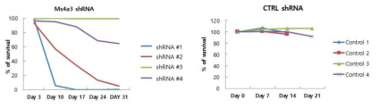 Effects of Ms4a3 shRNA expression in Leukemia cell