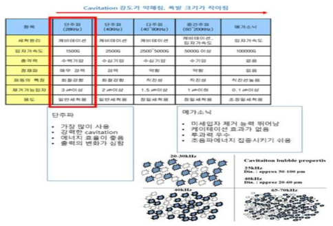 주파수에 따른 Cavitaion 특성