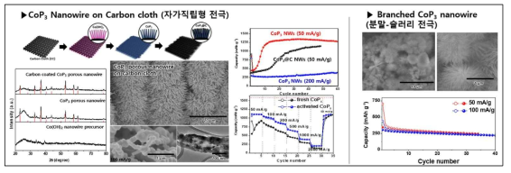 자가 직립형 CoP3 나노선 전극와 분말슬러리 전극