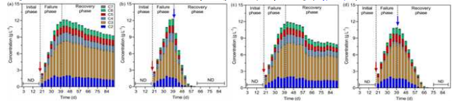 Profile of SCFAs during the initial, failure, and recovery phases of reactors: (a) control; (b) addition of acclimatized consortium (AC) and pH adjustment; (c) only pH adjustment and (d) only addition of AC