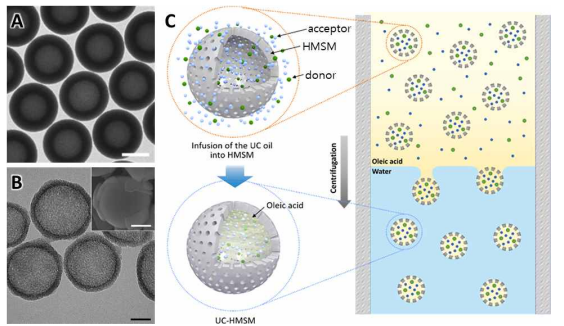 A) HMSM의 TEM 이미지(스케일바: 1μm). B) HMSN의 TEM 및 SEM 이미지(스케일바: 50 nm). C) 원심분리를 통한 UC-HMSM의 분리. (스케일바: A: 1μm, B: 50 nm)